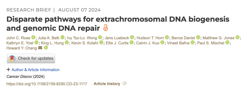 Steven Artandi: SCI members find support for ecDNA formation model